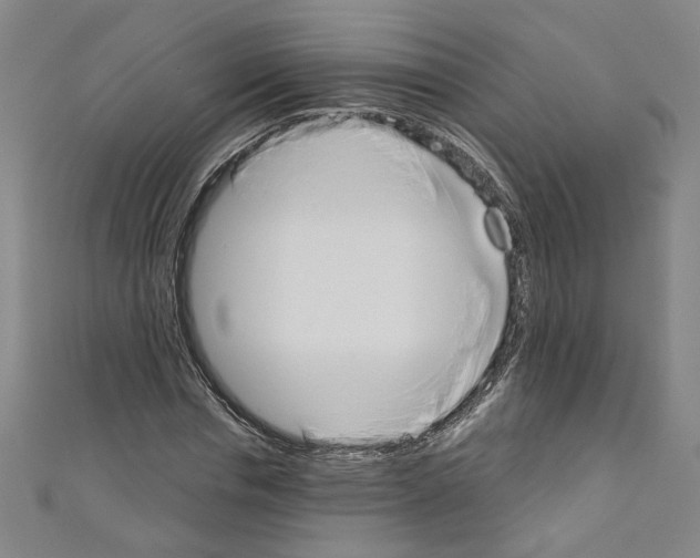 X0000110320826200907021159