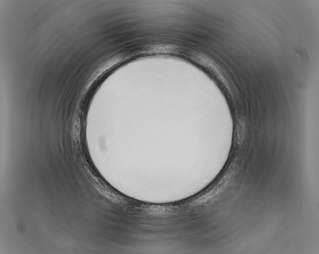 X0000110320827200907021159