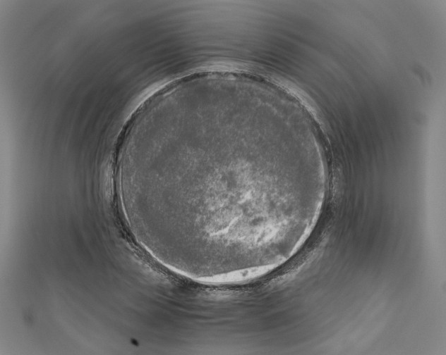 X0000110320829200907021159