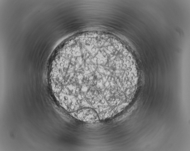 X0000110320830200907021159