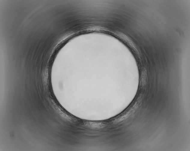 X0000110320831200907021159