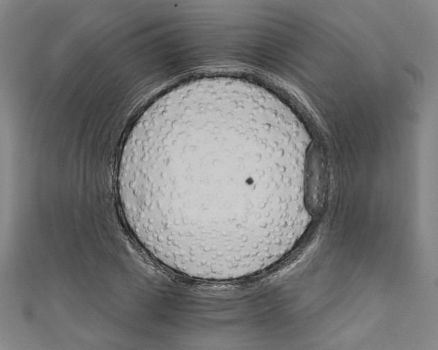 X0000110320833200907021200