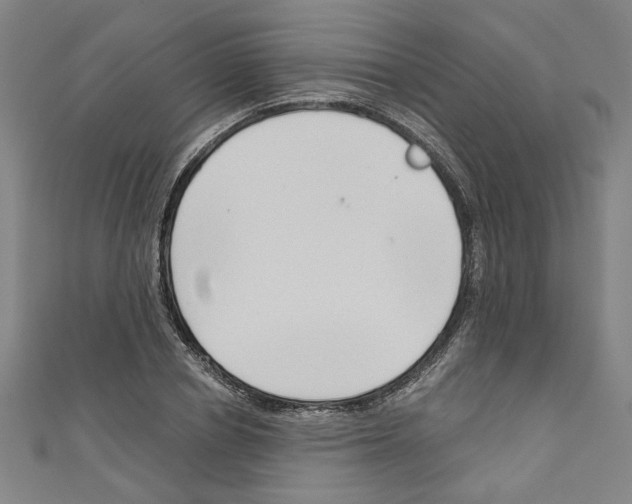 X0000110320834200907021200