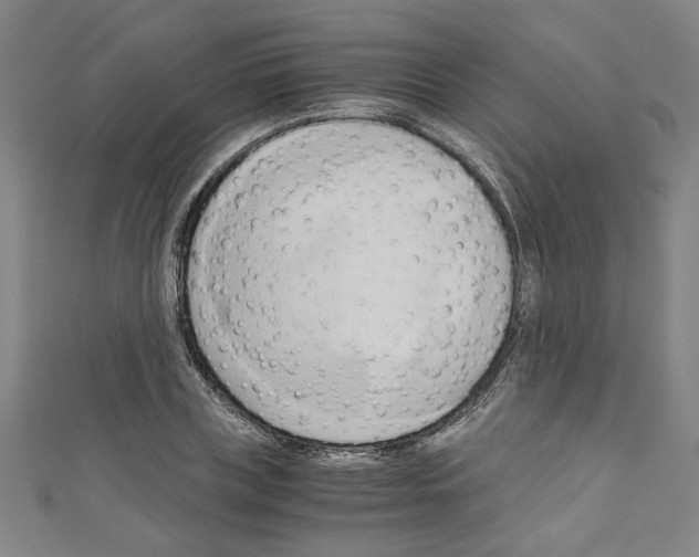 X0000110320835200907021200