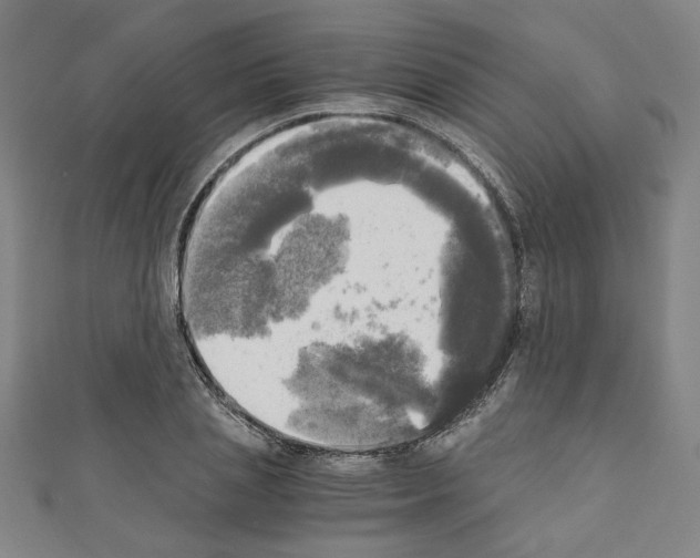 X0000110320837200907021200