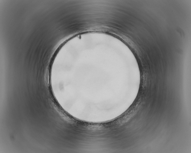 X0000110320838200907021200