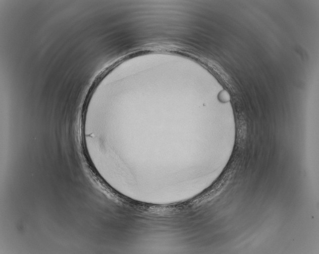 X0000110320840200907021200