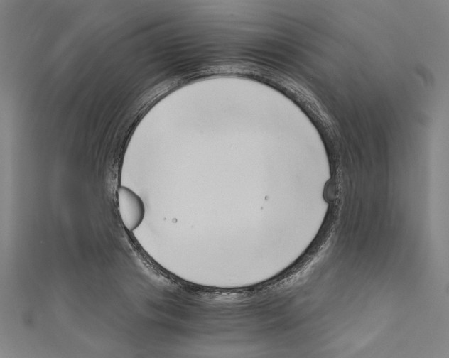 X0000110320841200907021200