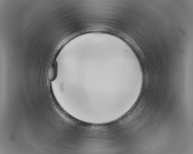 X0000110320842200907021200