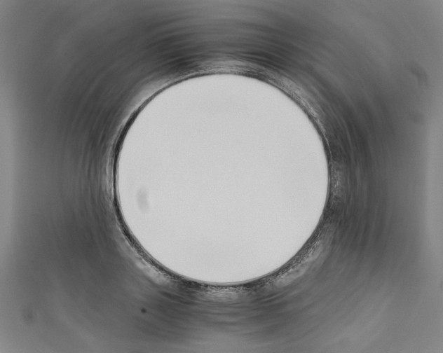 X0000110320843200907021200