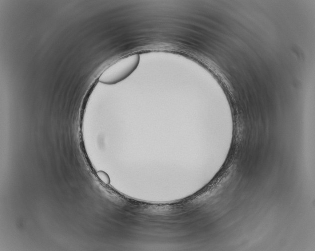 X0000110320845200907021200