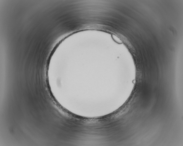 X0000110320846200907021200