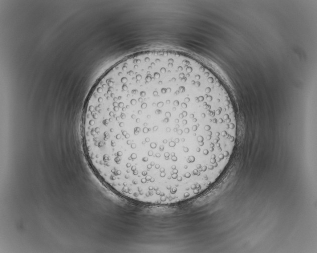 X0000110320847200907021200