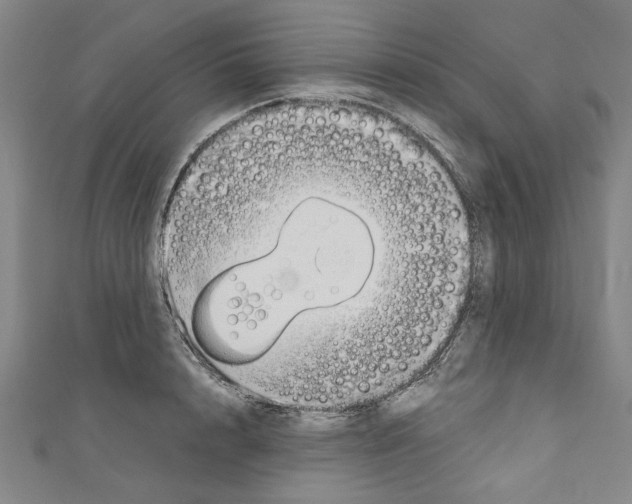 X0000110320848200907021200