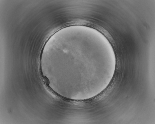 X0000110320850200907021200