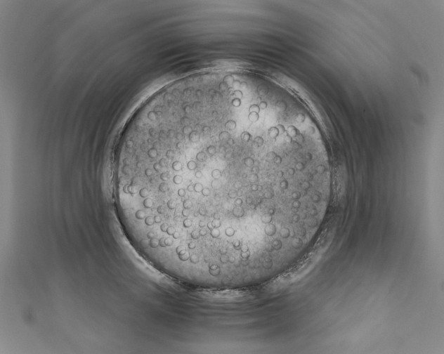 X0000110320851200907021200