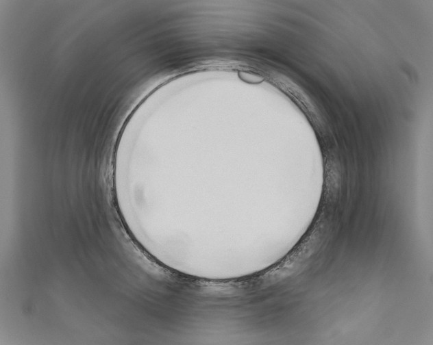 X0000110320852200907021200