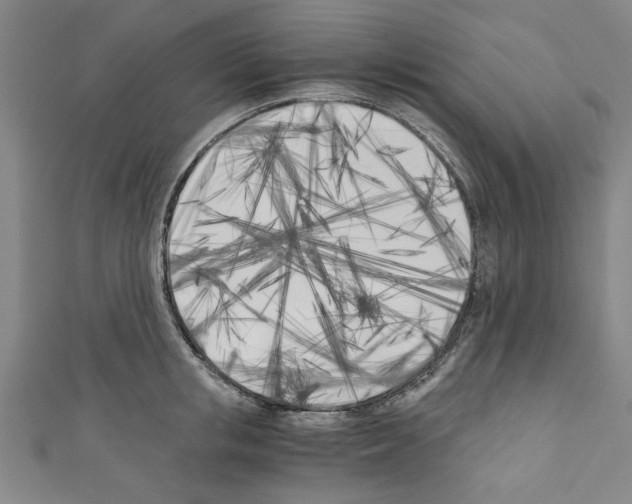 X0000110320853200907021200