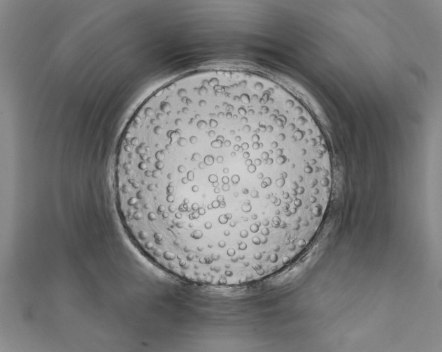 X0000110320855200907021200