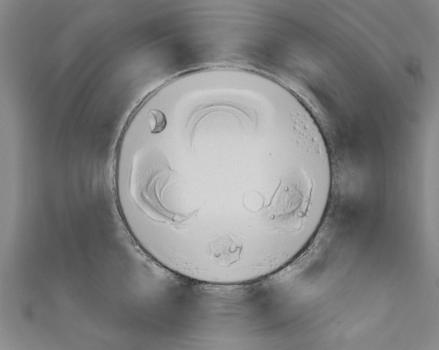 X0000110320856200907021200