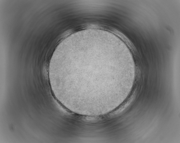 X0000110320857200907021200