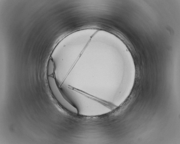 X0000110320858200907021200