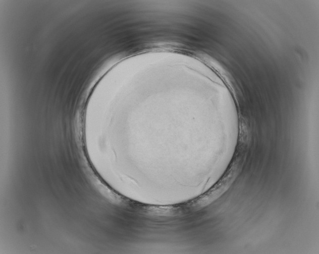 X0000110320859200907021200