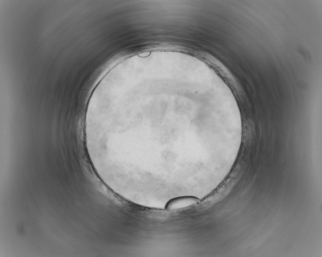 X0000110320860200907021200