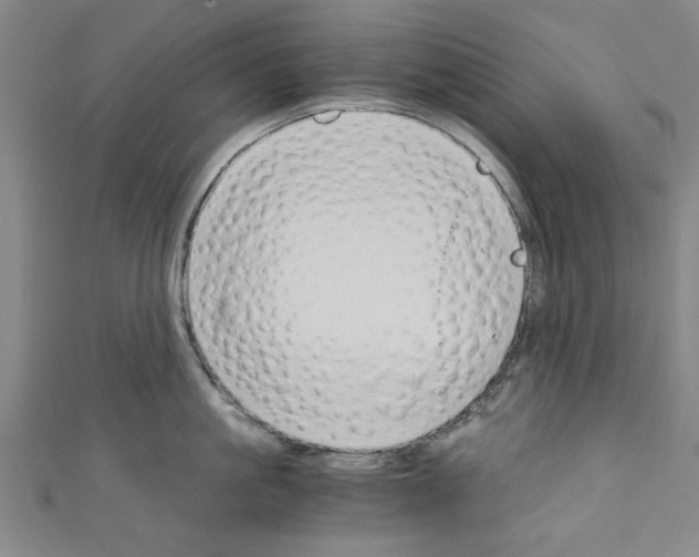 X0000110320861200907021200