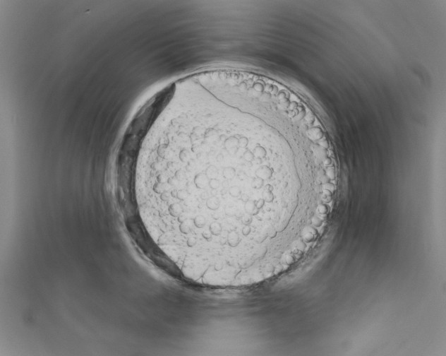 X0000110320862200907021200