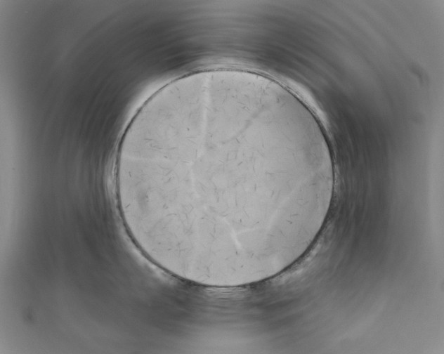 X0000110320863200907021200