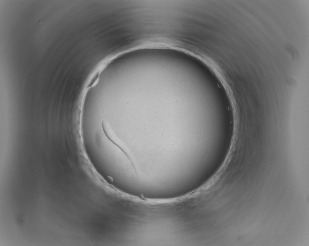 X0000110320864200907021200