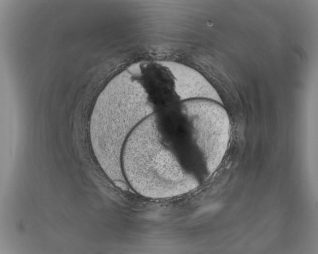 X0000110320865200907021159