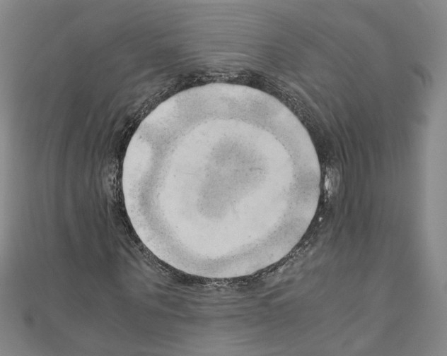 X0000110320867200907021159