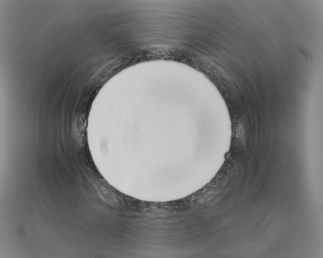 X0000110320868200907021159