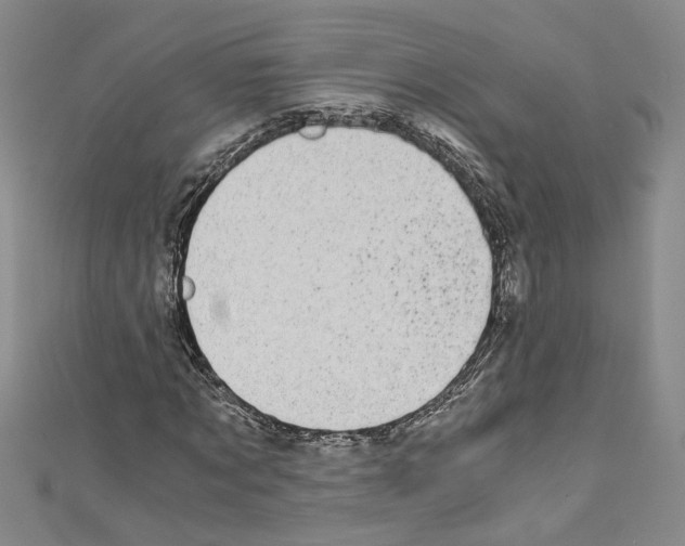 X0000110320869200907021159