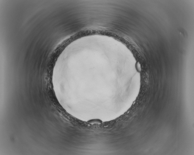 X0000110320872200907021159