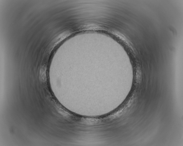 X0000110320873200907021159