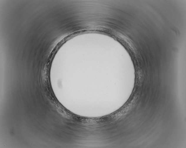 X0000110320875200907021159