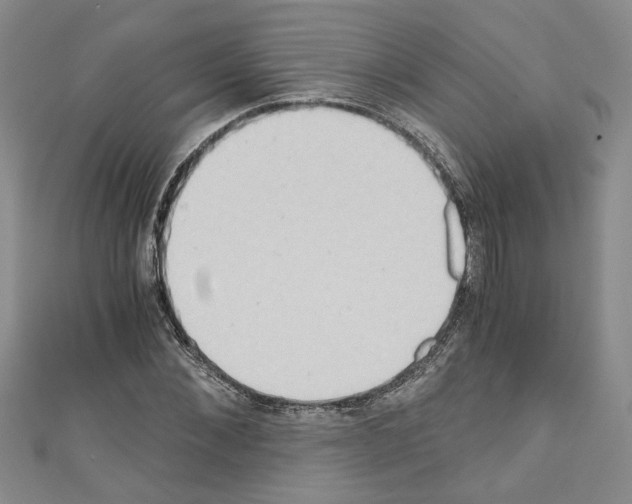 X0000110320876200907021159