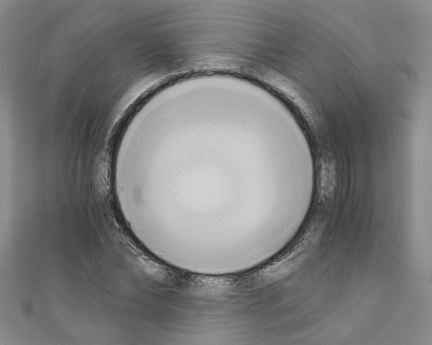 X0000110320878200907021159