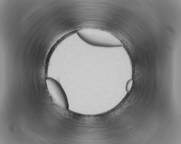 X0000110320880200907021159