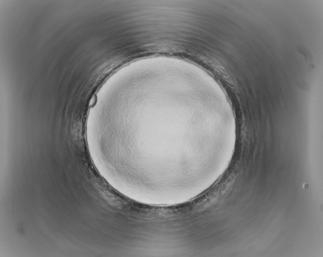 X0000110320881200907021159