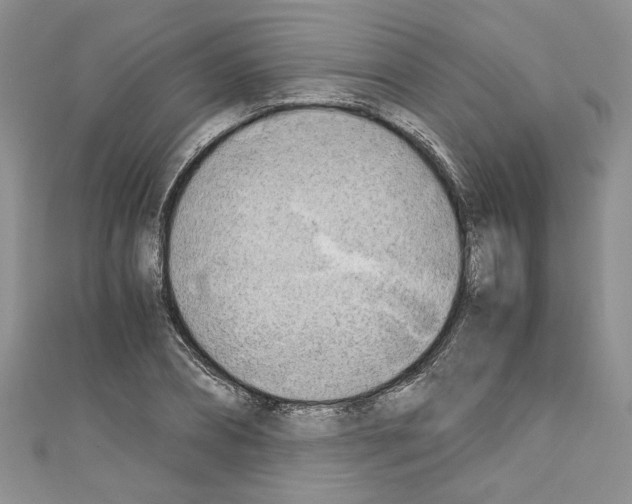 X0000110320882200907021159