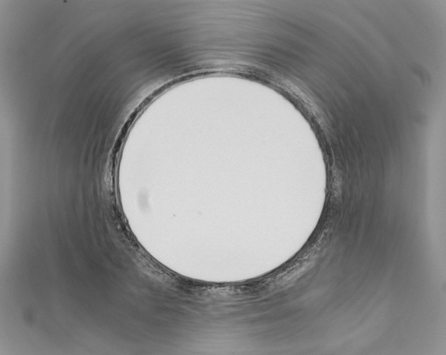 X0000110320883200907021159