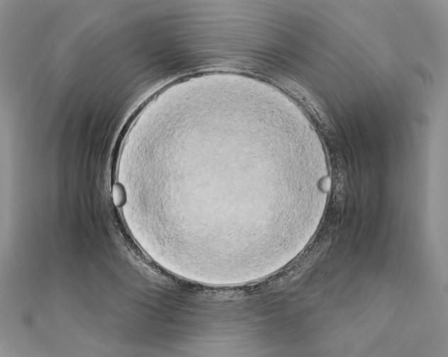 X0000110320884200907021159