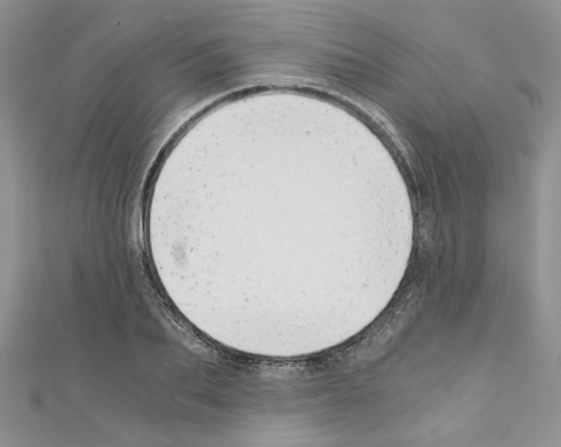 X0000110320887200907021159