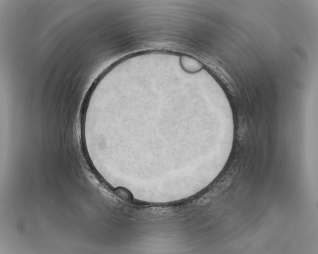 X0000110320888200907021159