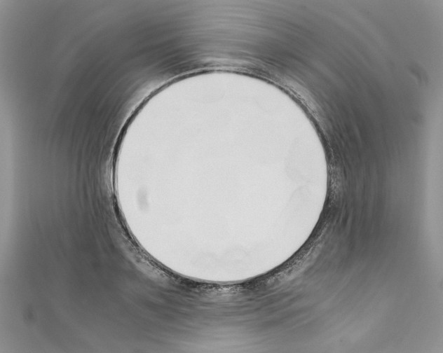 X0000110320891200907021159