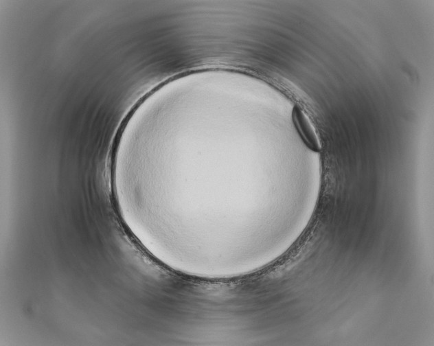 X0000110320892200907021159